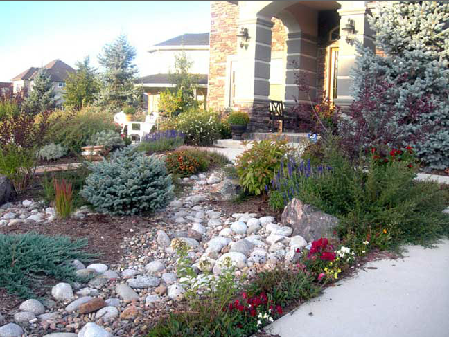 Front yard Xeriscape